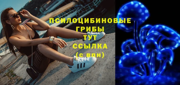 дурь Арсеньев