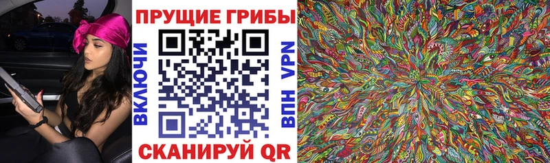 даркнет сайт Остров Псилоцибиновые грибы прущие грибы